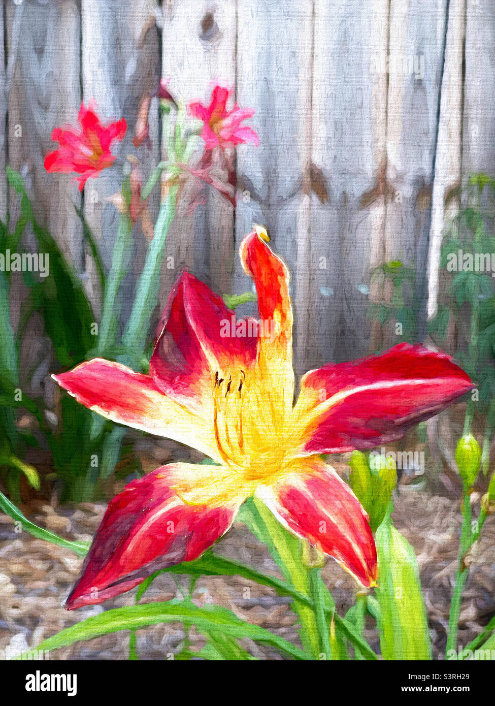 Pintura digital al óleo de una hermosa flor de lirio. Foto de stock