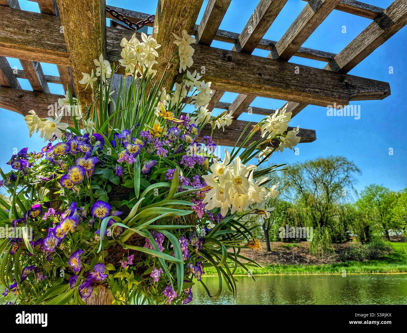Cesta de flores colgantes fotografías e imágenes de alta resolución - Alamy