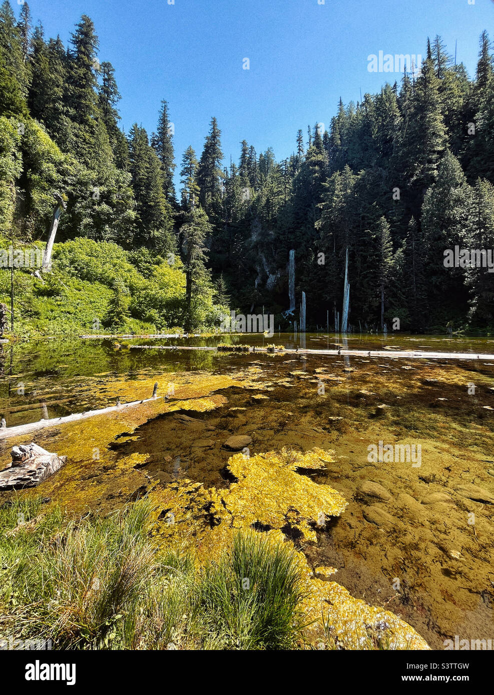Junio Lago en el Monte St Helen Monumento Nacional Foto de stock