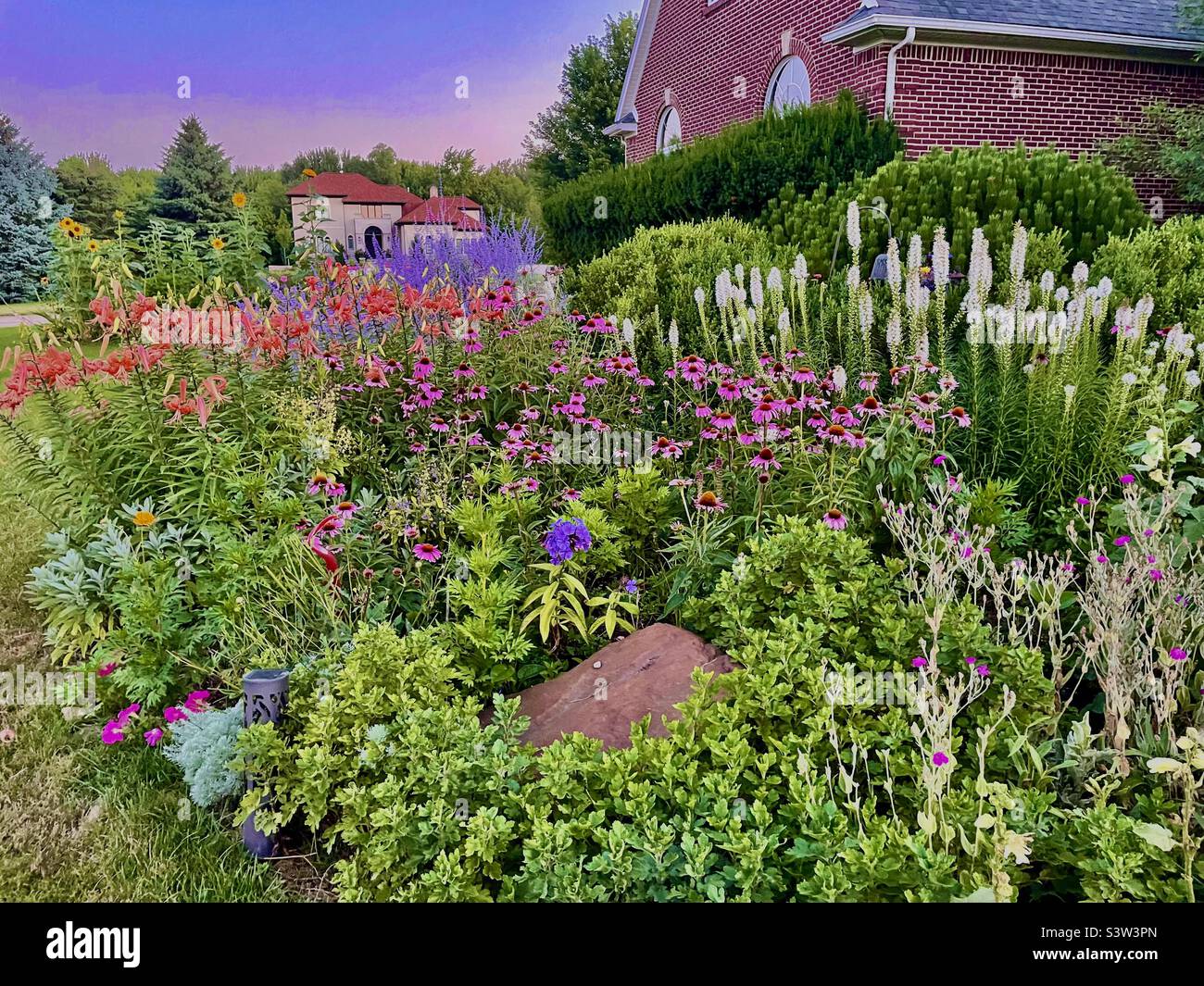 Lirios de tigre y flores de colores fotografías e imágenes de alta  resolución - Alamy