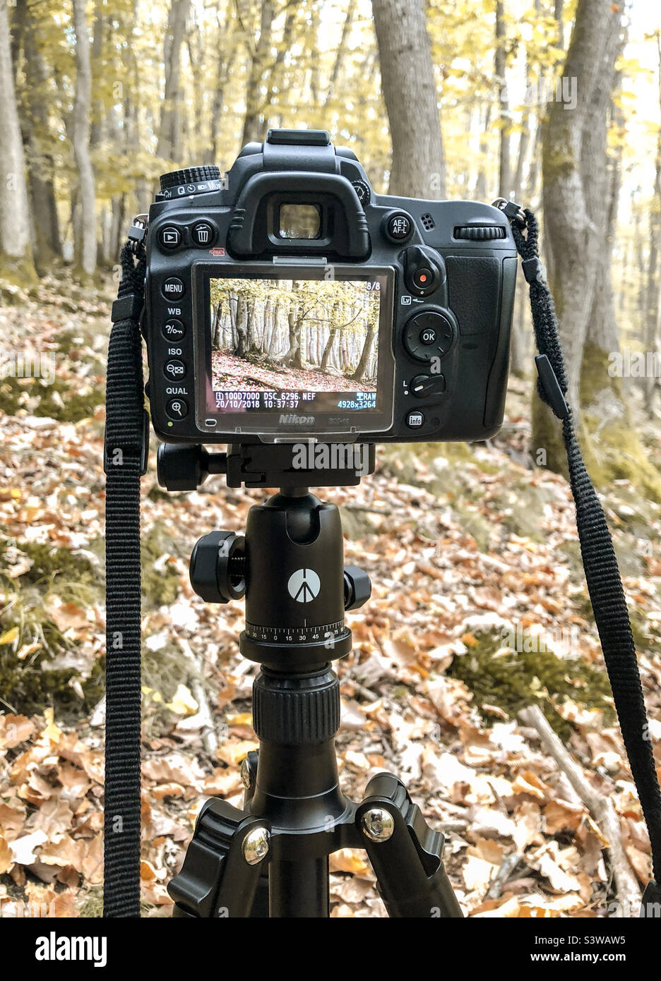 Nikon camera on tripod fotografías e imágenes de alta resolución - Alamy