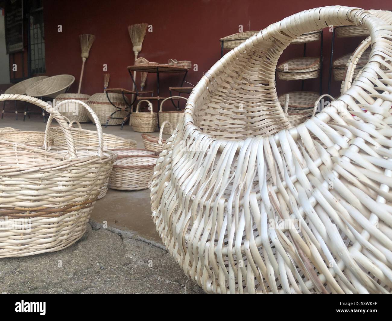 Cesta caña mimbre tradicional para setas cesta almacenamiento hogar