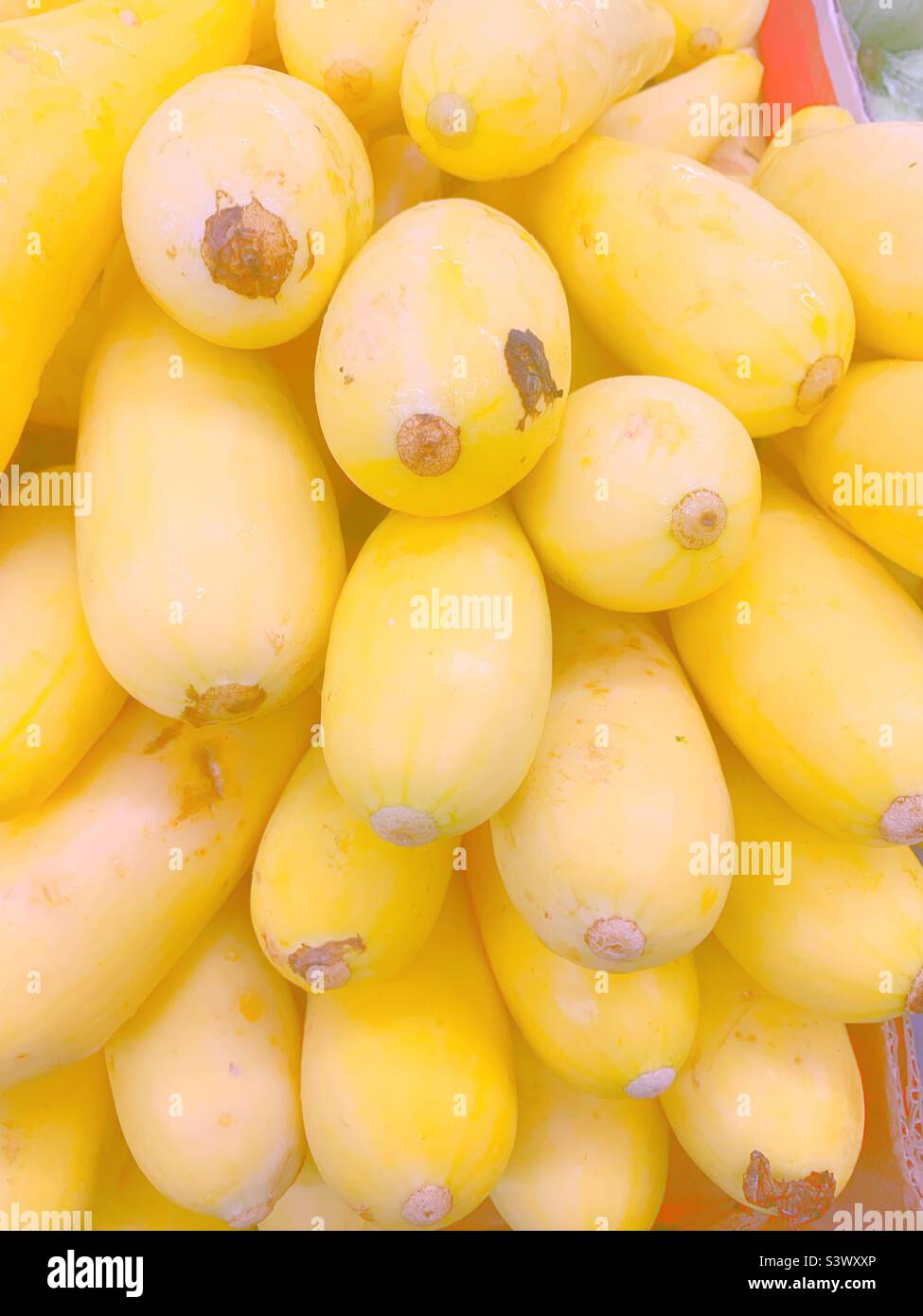 Fotografía desteñida de calabaza amarilla brillante para la venta en el mercado de productos frescos del jardín. Foto de stock