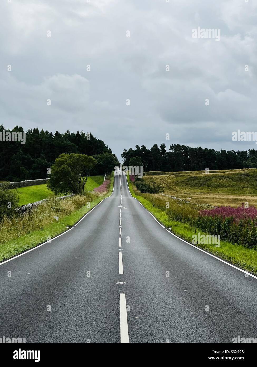 Disminución de la perspectiva en un camino vacío Foto de stock