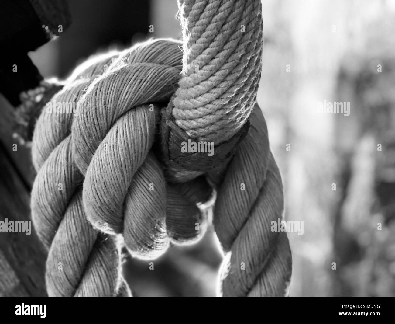 Lazo de la cuerda negra Fotografía de stock - Alamy