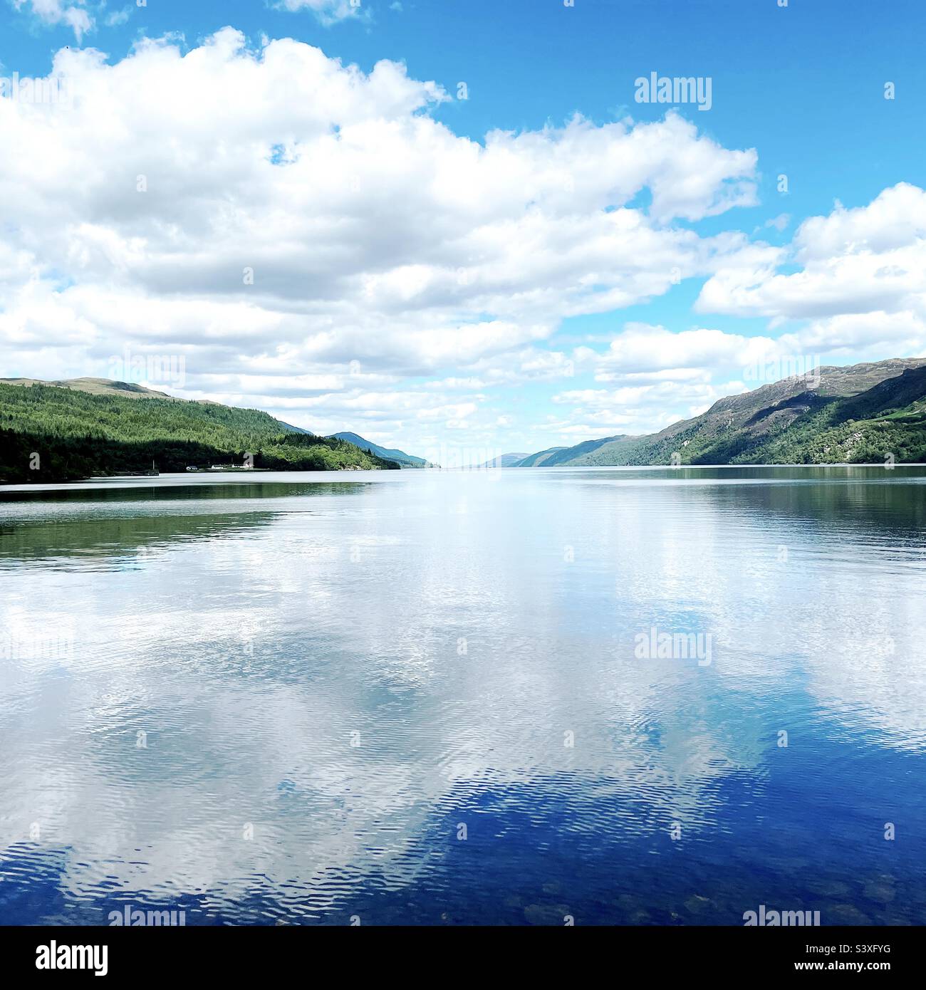 My Image 11