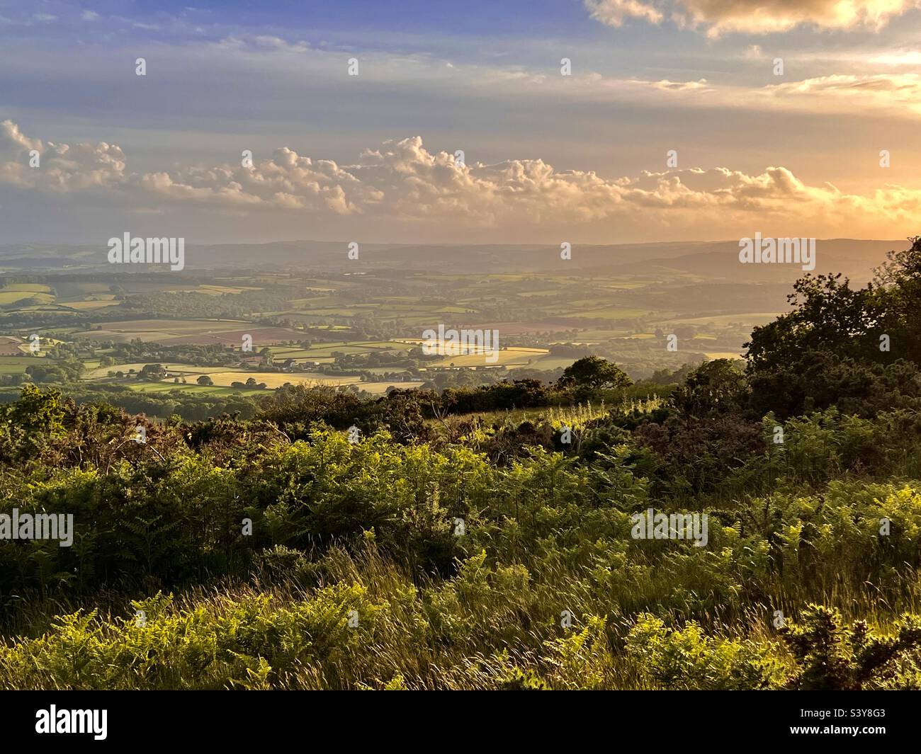Bucólico paisaje Inglés en una tarde de verano caliente con campos y árboles Foto de stock