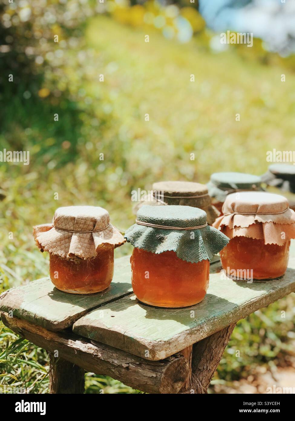 Honeypots en Hobbiton, Nueva Zelanda Foto de stock