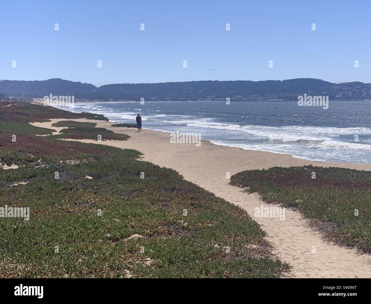 Junio, 2022, Playa, Carmel, Condado de Monterey, California, Estados Unidos Foto de stock