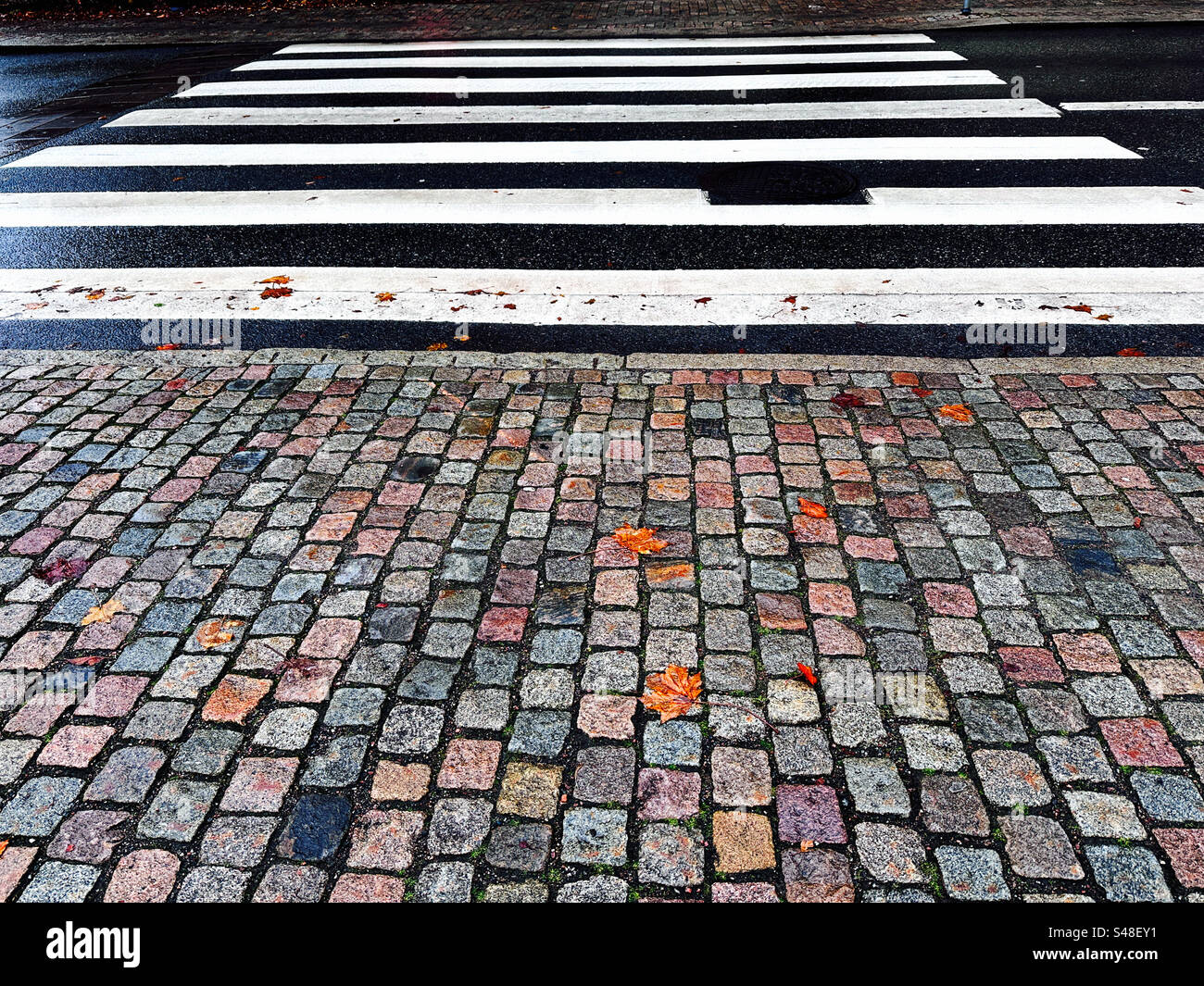 Acera adoquinada y un cruce peatonal en Gotemburgo, Suecia Foto de stock