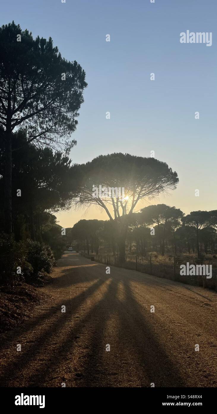 La última luz del día. Foto de stock