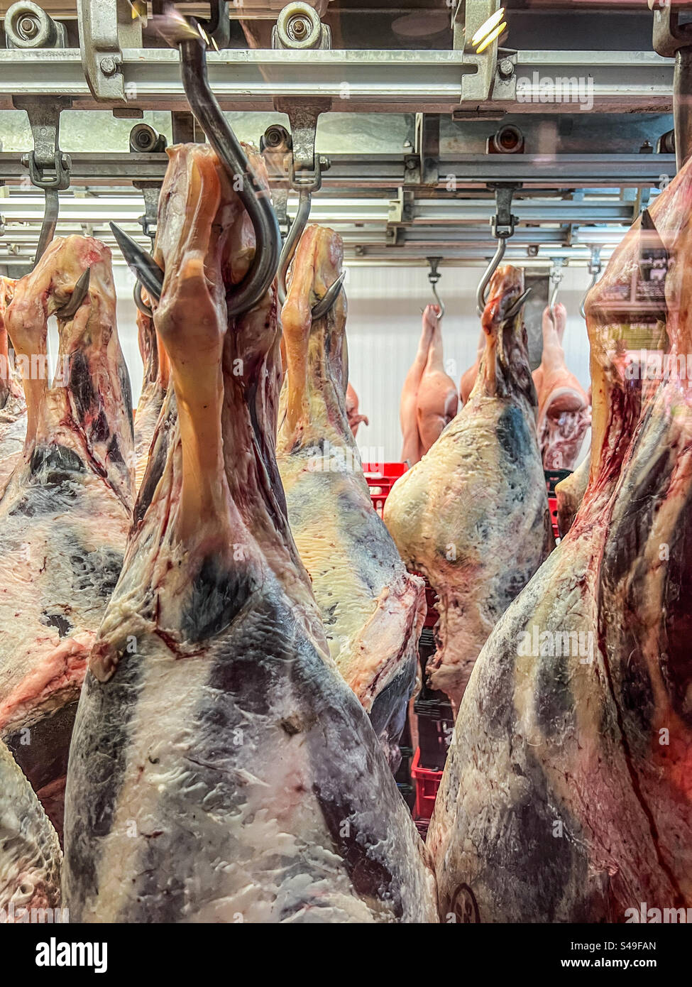 Carne cruda colgada en carnicería frigorífica Foto de stock