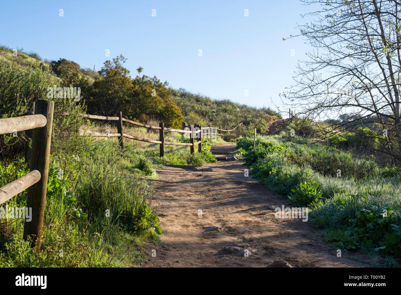 Vista del Cañón Oak Trail. Mission Trails Regional Park, en San Diego, California, Estados Unidos. Foto de stock