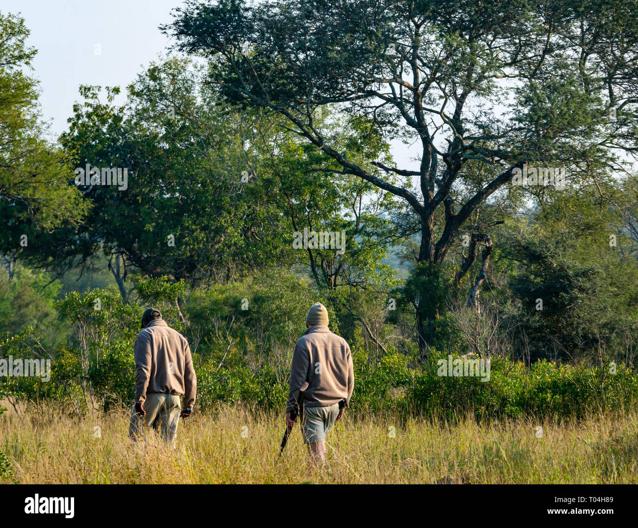 Guía con rifle y rastreador de hombre negro que sigue a los animales en arbusto africano, reserva de caza africana, Sudáfrica Foto de stock