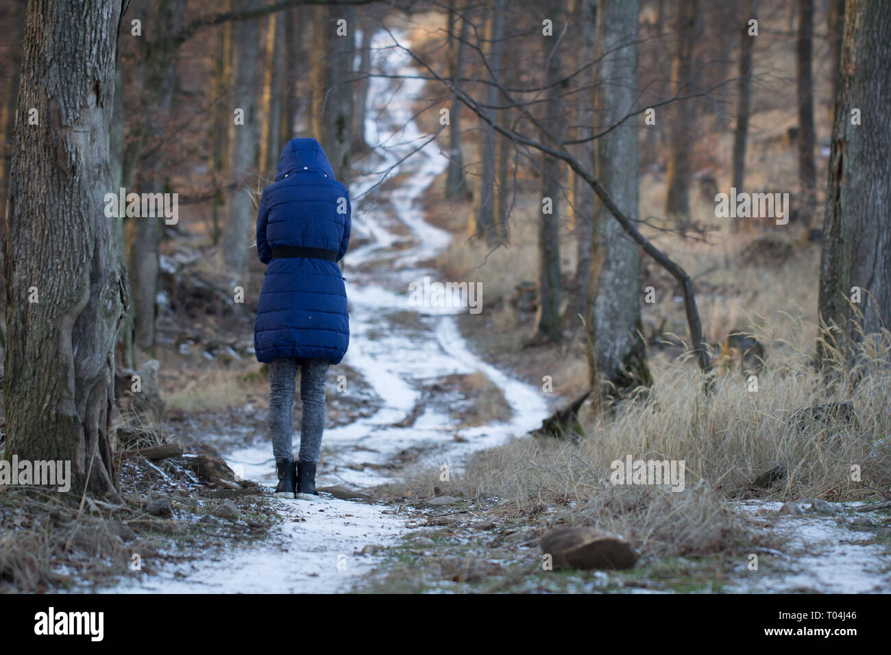 Mujer de pie solo en invierno vista posterior del camino forestal. Foto de stock