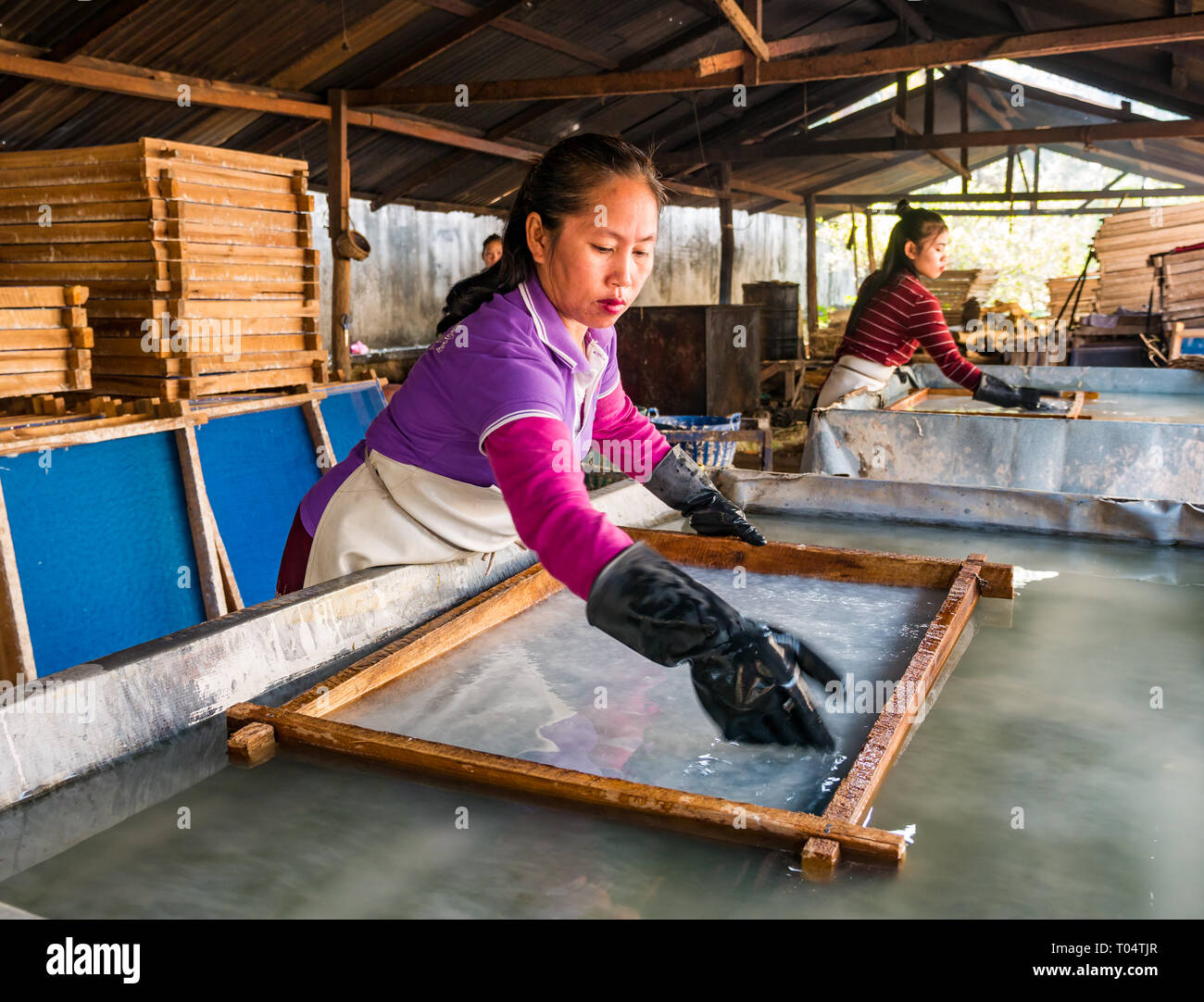 Las trabajadoras haciendo papel de morera en fotogramas en cooperativa taller artesanal, en Luang Prabang, Laos, Asia Foto de stock