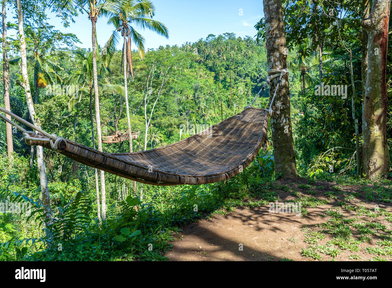 Hamaca de mimbre de bambú junto a la selva tropical en la isla de Bali,  Indonesia, cerrar Fotografía de stock - Alamy
