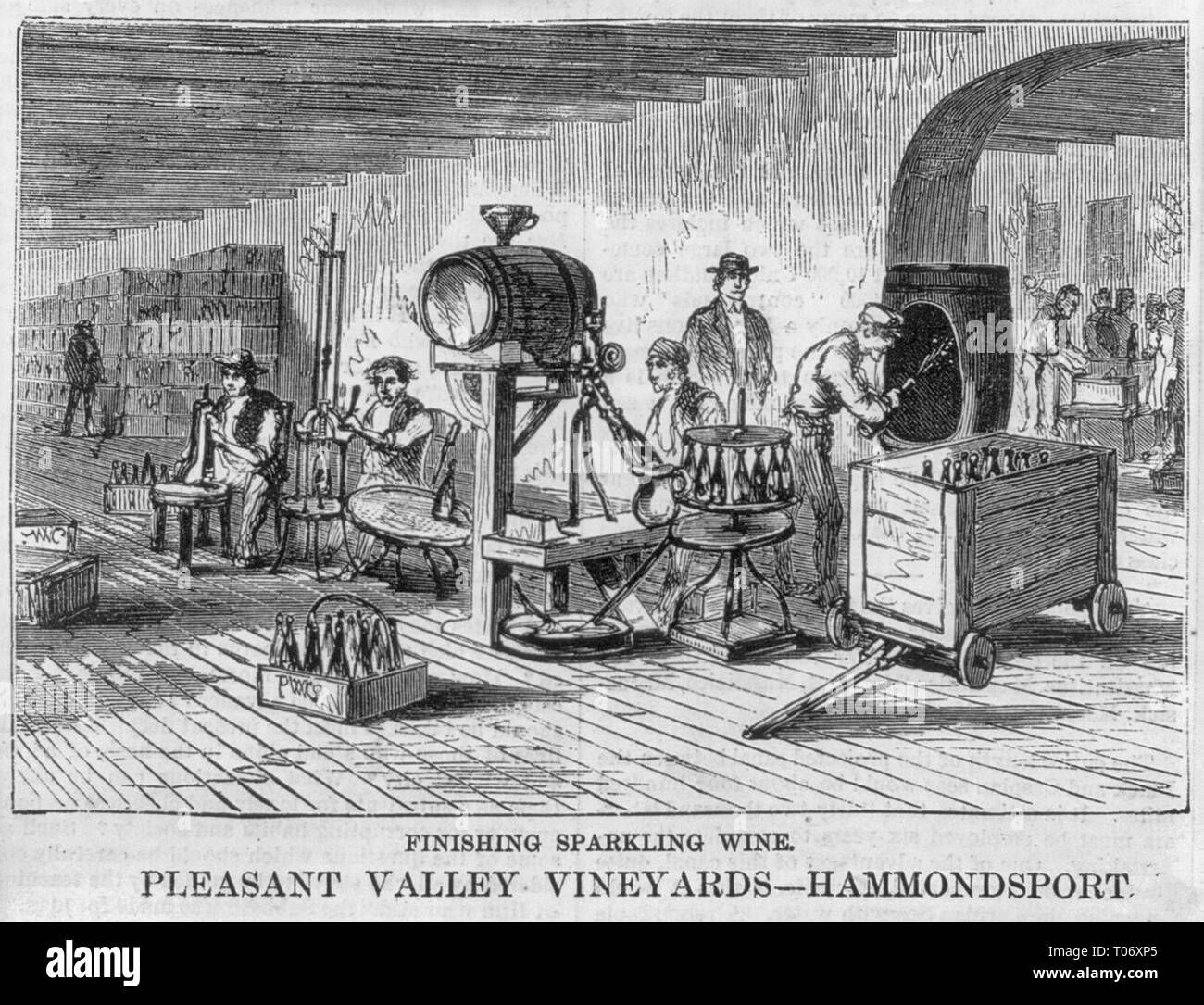 Vino espumoso de acabado - Pleasant Valley Vineyards, Hammondsport, N.Y., circa 1872 Foto de stock