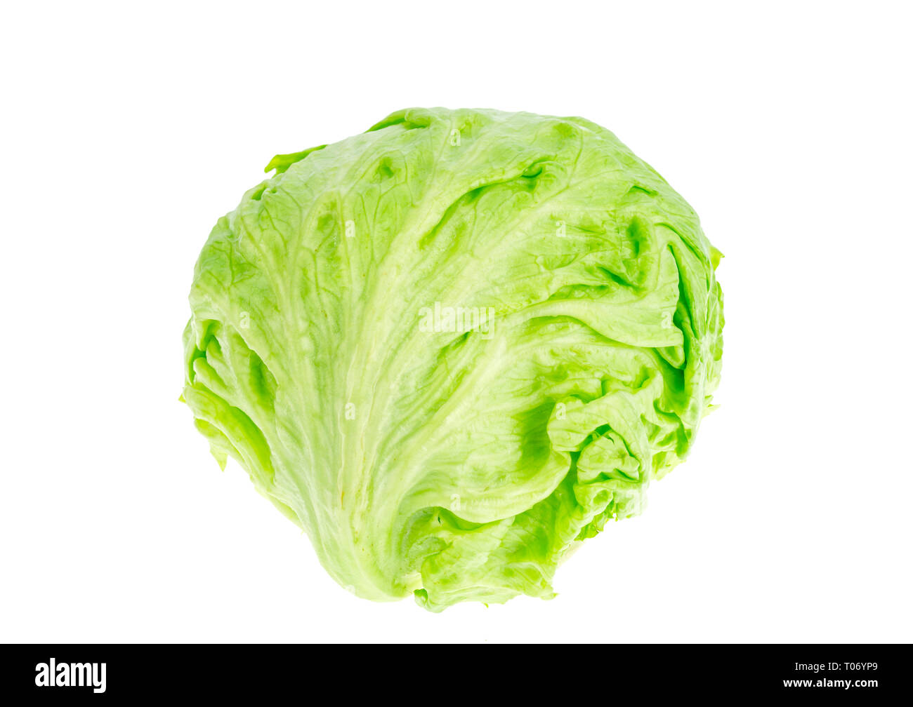 Cabeza de lechuga iceberg aislado sobre fondo blanco. Foto de Estudio