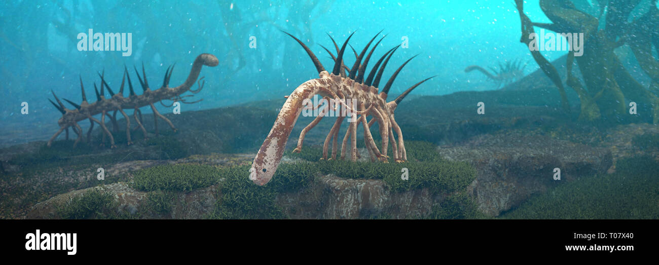 Hallucigenia, prehistóricos animales acuáticos desde el período Cámbrico (3d ilustración paleoart banner) Foto de stock