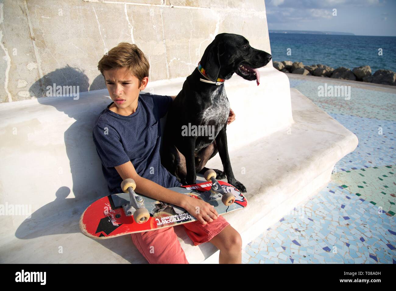 Joven con el monopatín y el perro en la playa. Foto de stock
