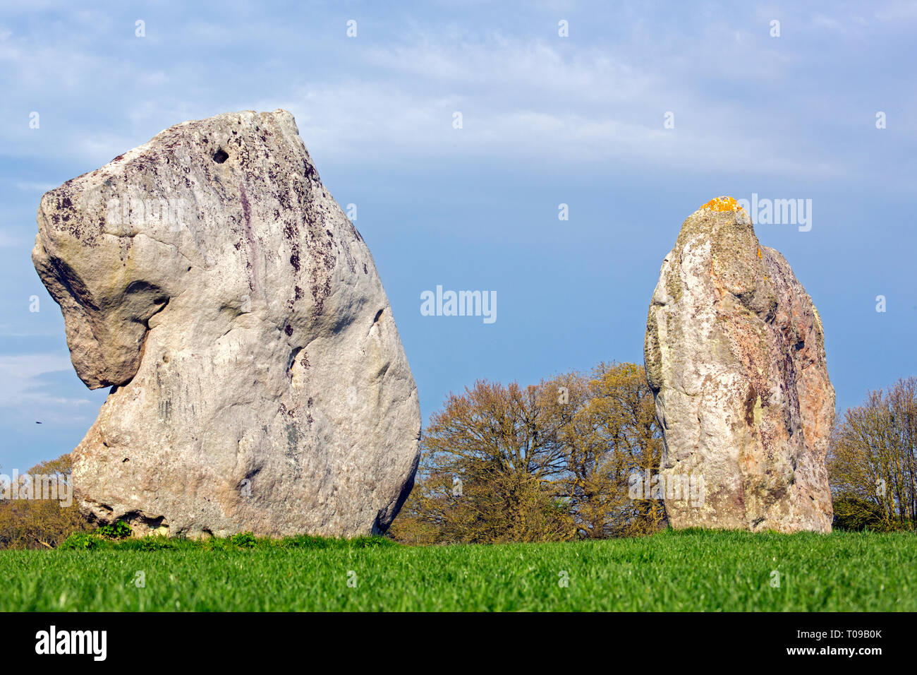 Gran Bretaña, Inglaterra, de piedra de Avebury. Grandes megalitos de piedra arenisca, similar a una cabeza de león. Foto de stock