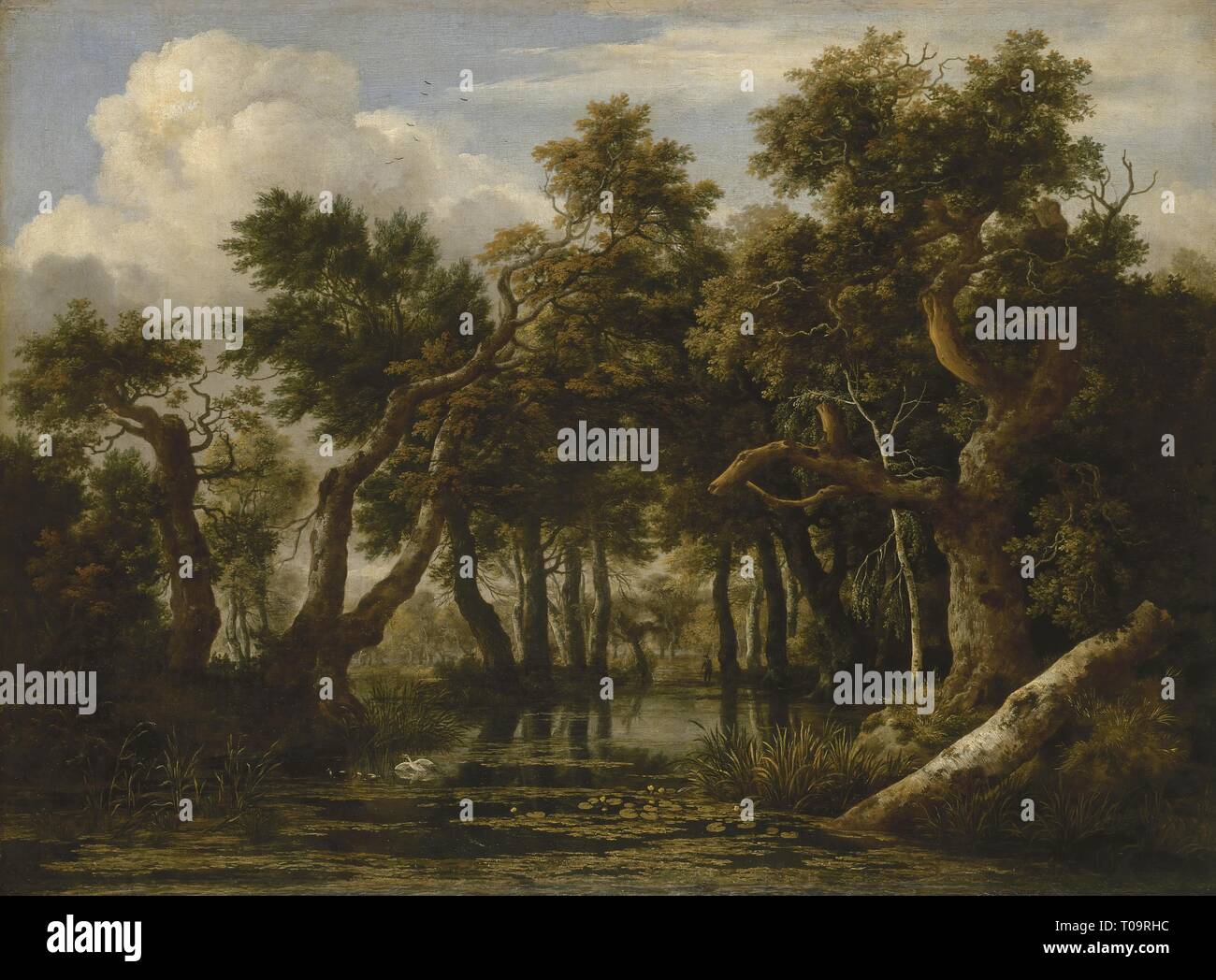 'Marsh'. Holanda, 1660. Dimensiones: 72,5x99 cm. Museo Estatal del Hermitage, en San Petersburgo. Autor: Jacob van Ruisdael Isaaksz. Foto de stock