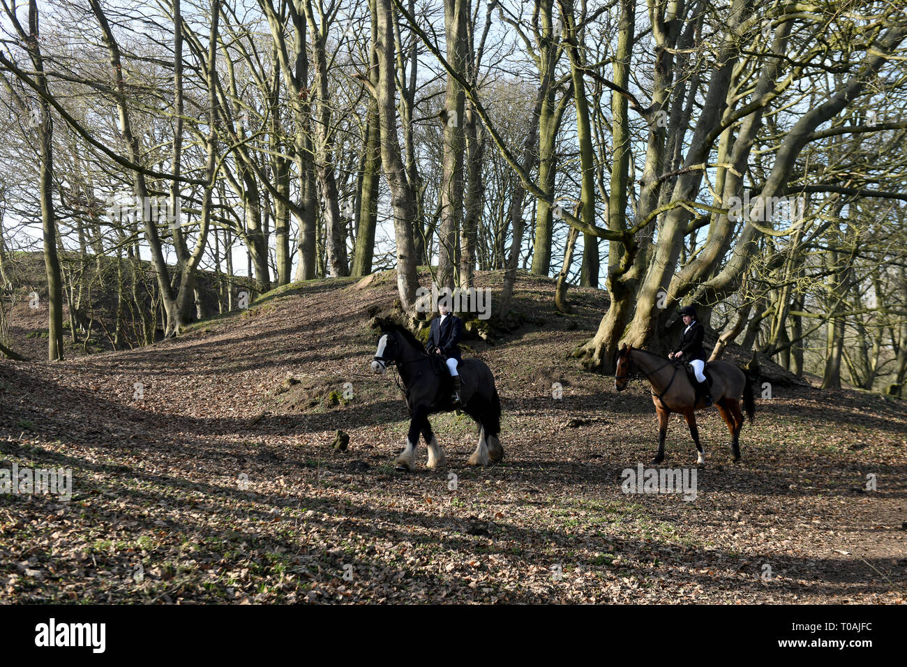 Los jinetes cabalgando en Woodlands Inglaterra Foto de stock