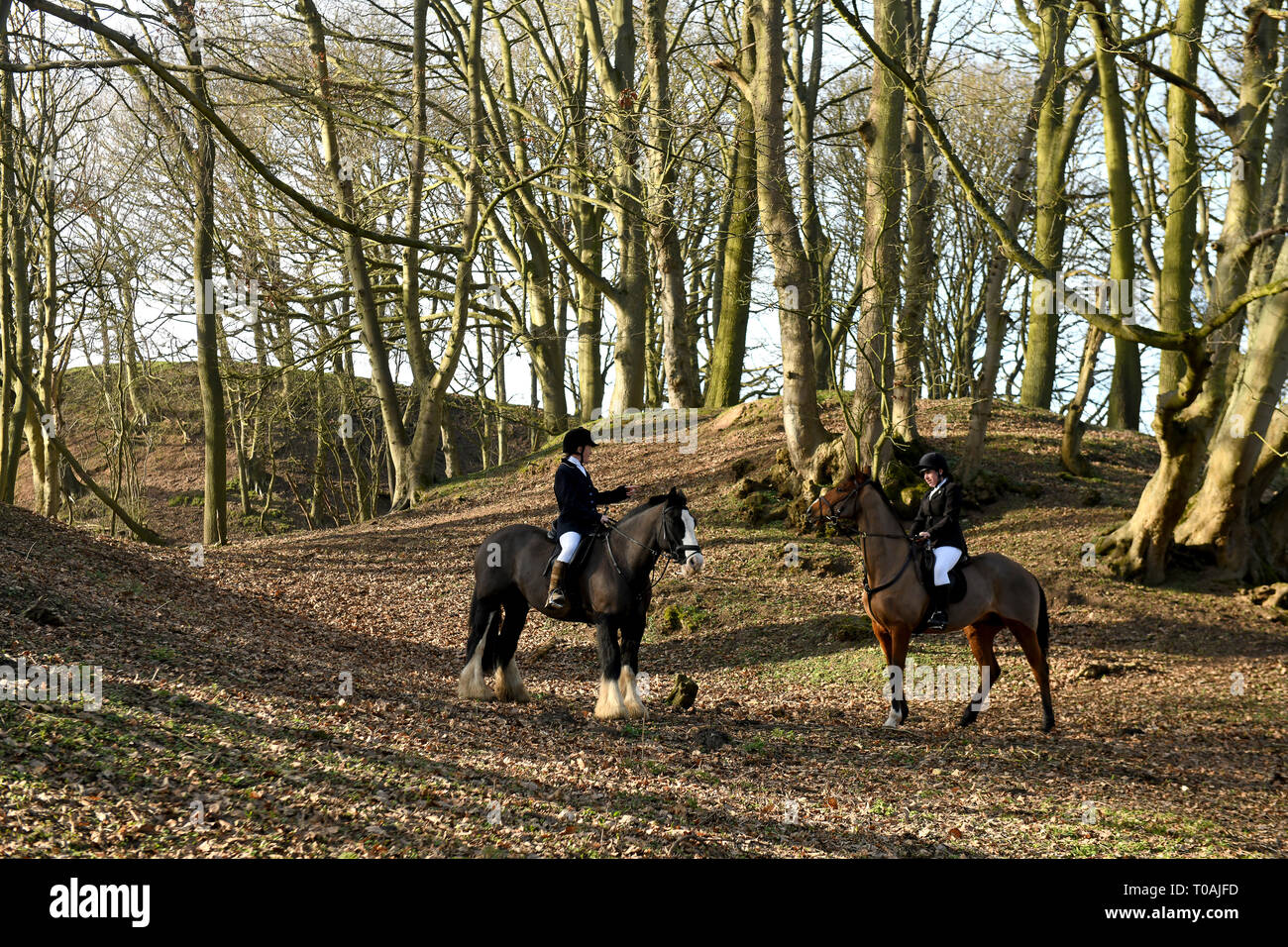 Los jinetes cabalgando en Woodlands Inglaterra Foto de stock