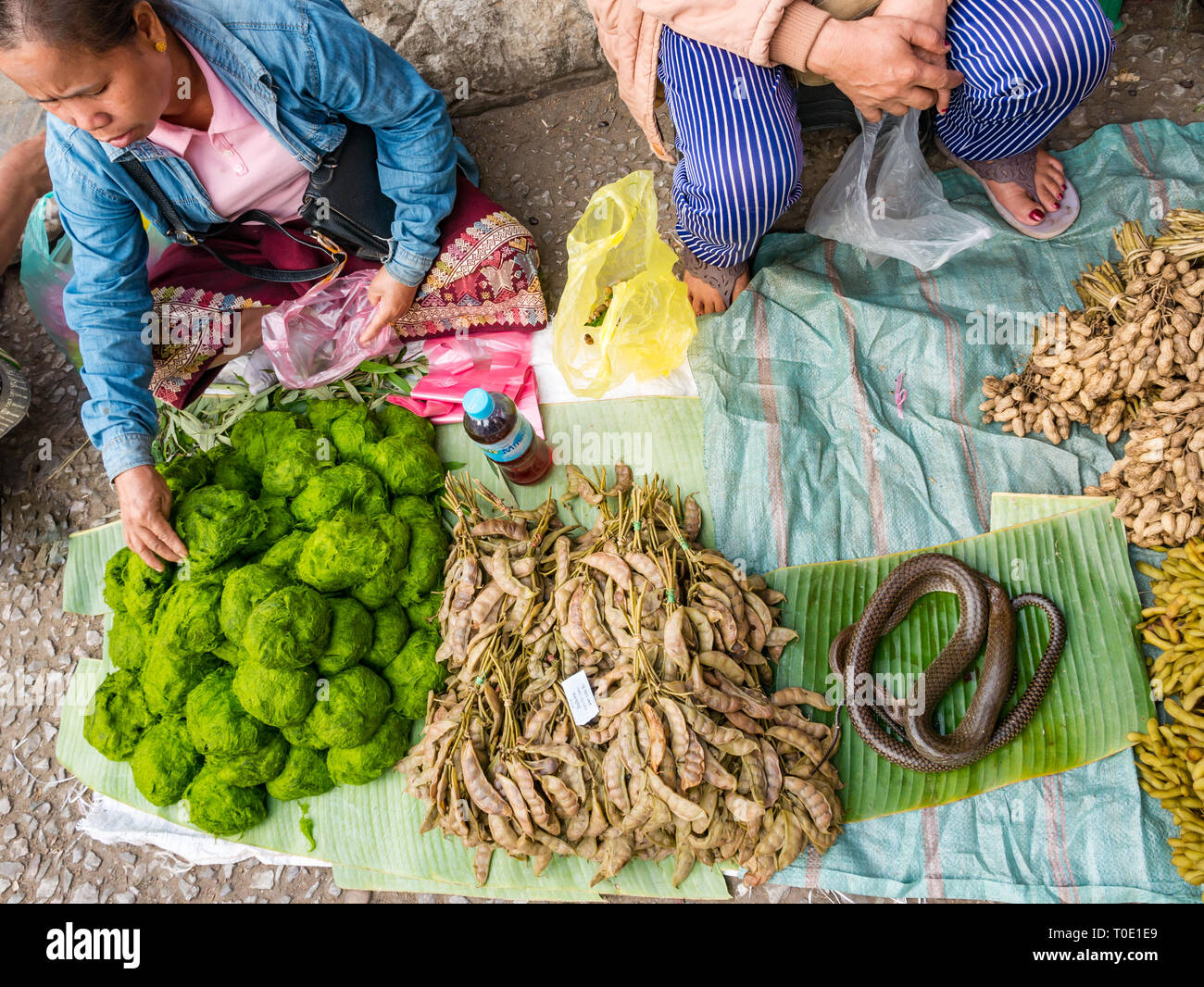 Mujer vistiendo Laos tradicional falda tejida vendiendo algas río verde hierba, serpiente y frijoles, mañana comida de la calle Market, en Luang Prabang, Laos, Sudeste de Asia Foto de stock