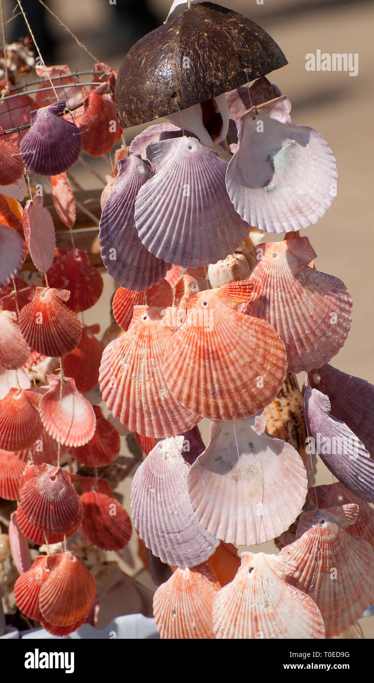 Colorido móvil colgante hecho de conchas para su venta fuera de una tienda  de souvenirs en la ciudad costera de Brighton, Sussex, Inglaterra  Fotografía de stock - Alamy