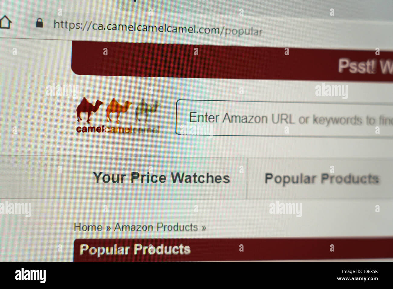 Camel camel camel sitio web para realizar un seguimiento de los precios de Amazon Fotografía de stock - Alamy