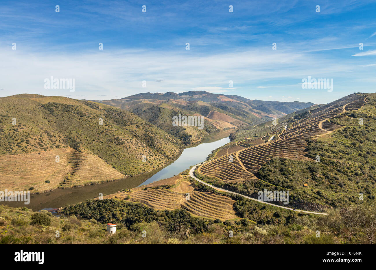 El paisaje del río Duero serpentea a través de las montañas, con las terrazas de los viñedos del vino de Oporto, cerca de la desembocadura del río Coa. Foto de stock