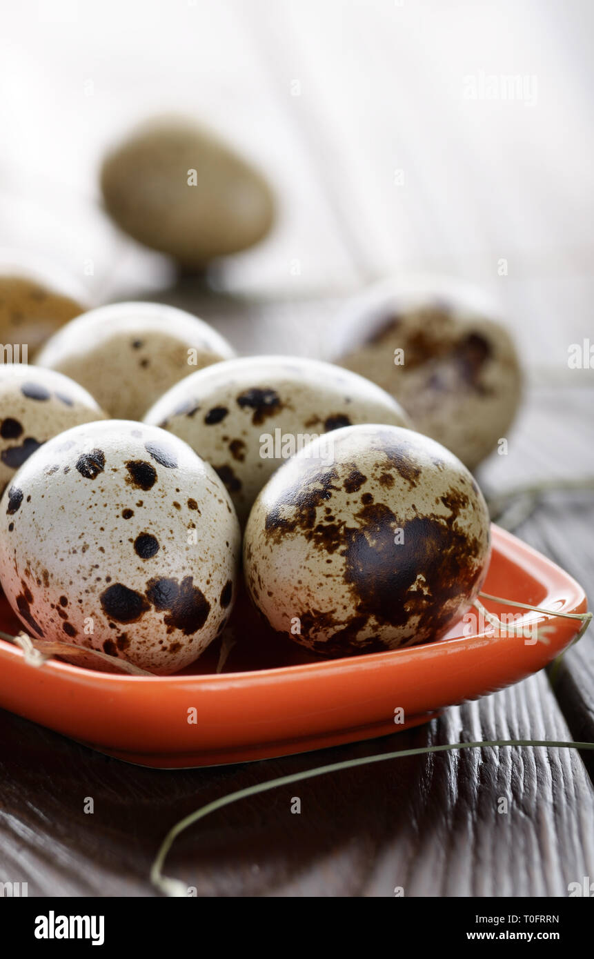 Huevos de codorniz orgánicos frescos en placa de arcilla naranja sobre la mesa de la cocina de estilo rústico de madera. Espacio para el texto Foto de stock