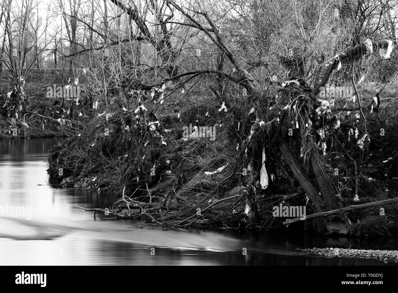 La contaminación de desechos plásticos en el banco del río de árboles Foto de stock
