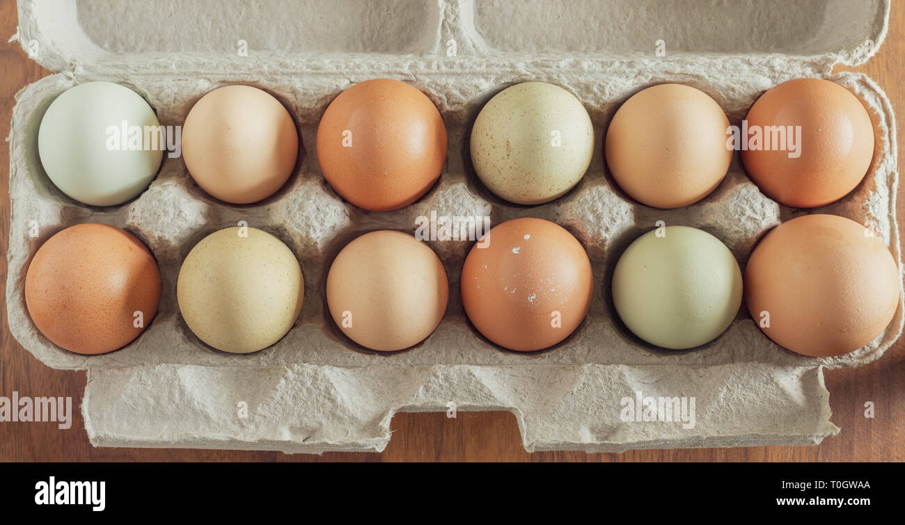 Coloridos huevos de pollo fresco en cartón Foto de stock