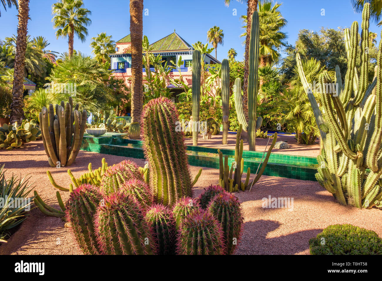 Jardín botánico Jardin Majorelle en Marrakech Foto de stock