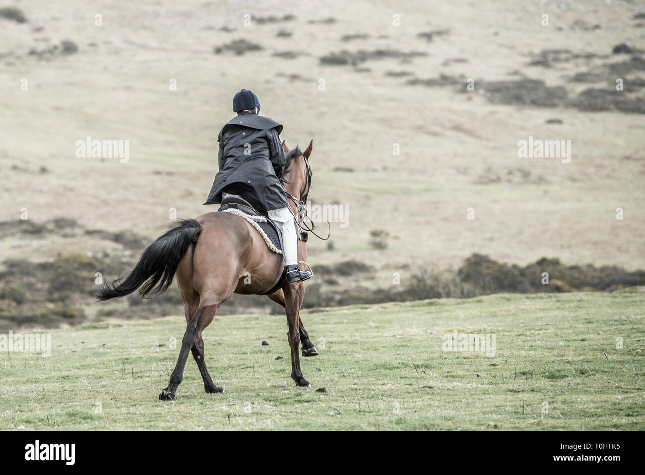 Equitación en Dartmoor Foto de stock