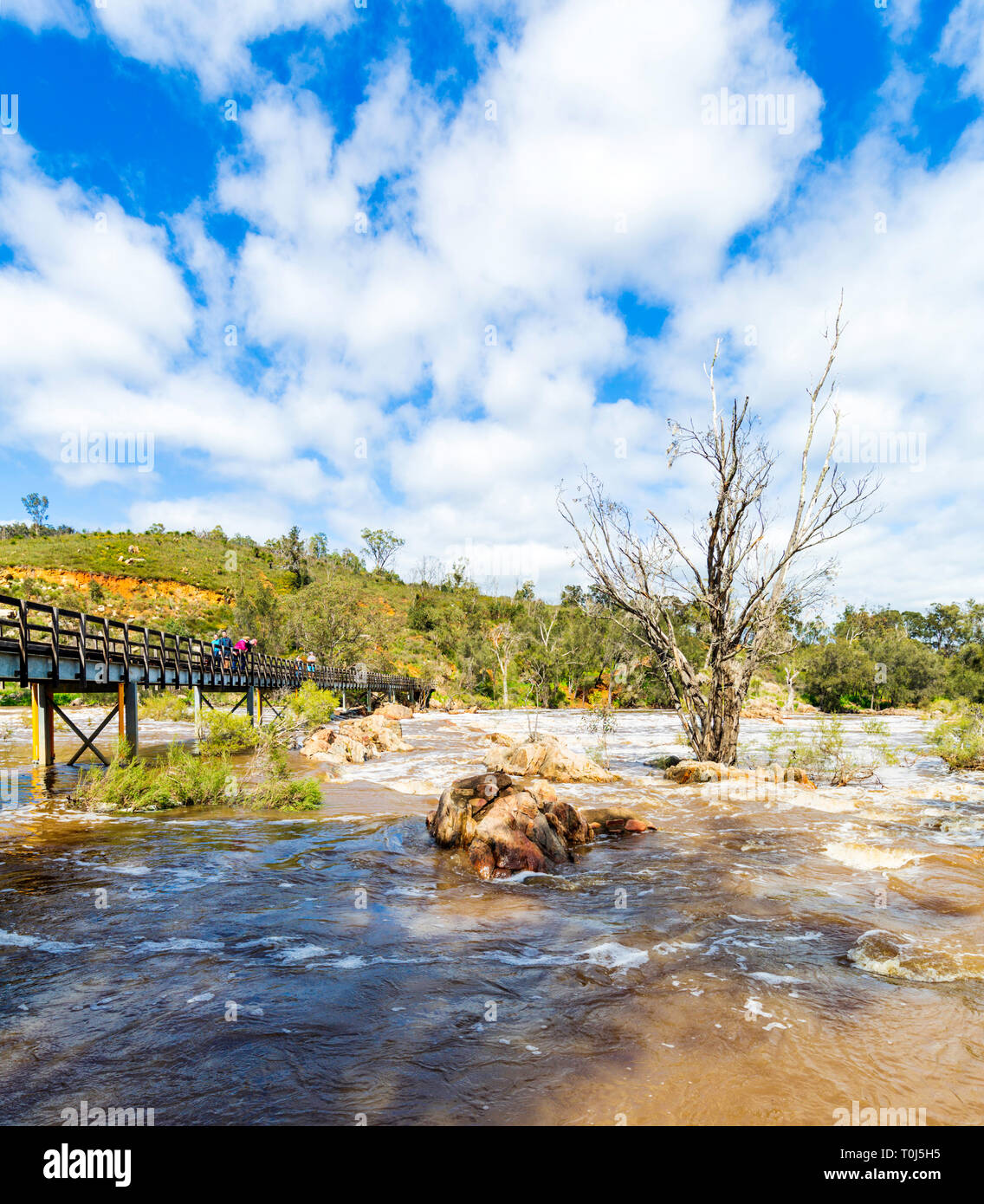 Campanas Rapids, Brigadoon, Perth, Australia Occidental, Australia Foto de stock
