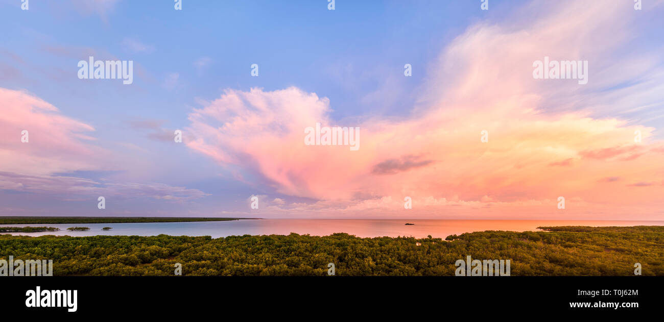 Estación húmeda nubes de tormenta a lo largo de los manglares en la bahía Roebuck. Broome, Australia Occidental Foto de stock