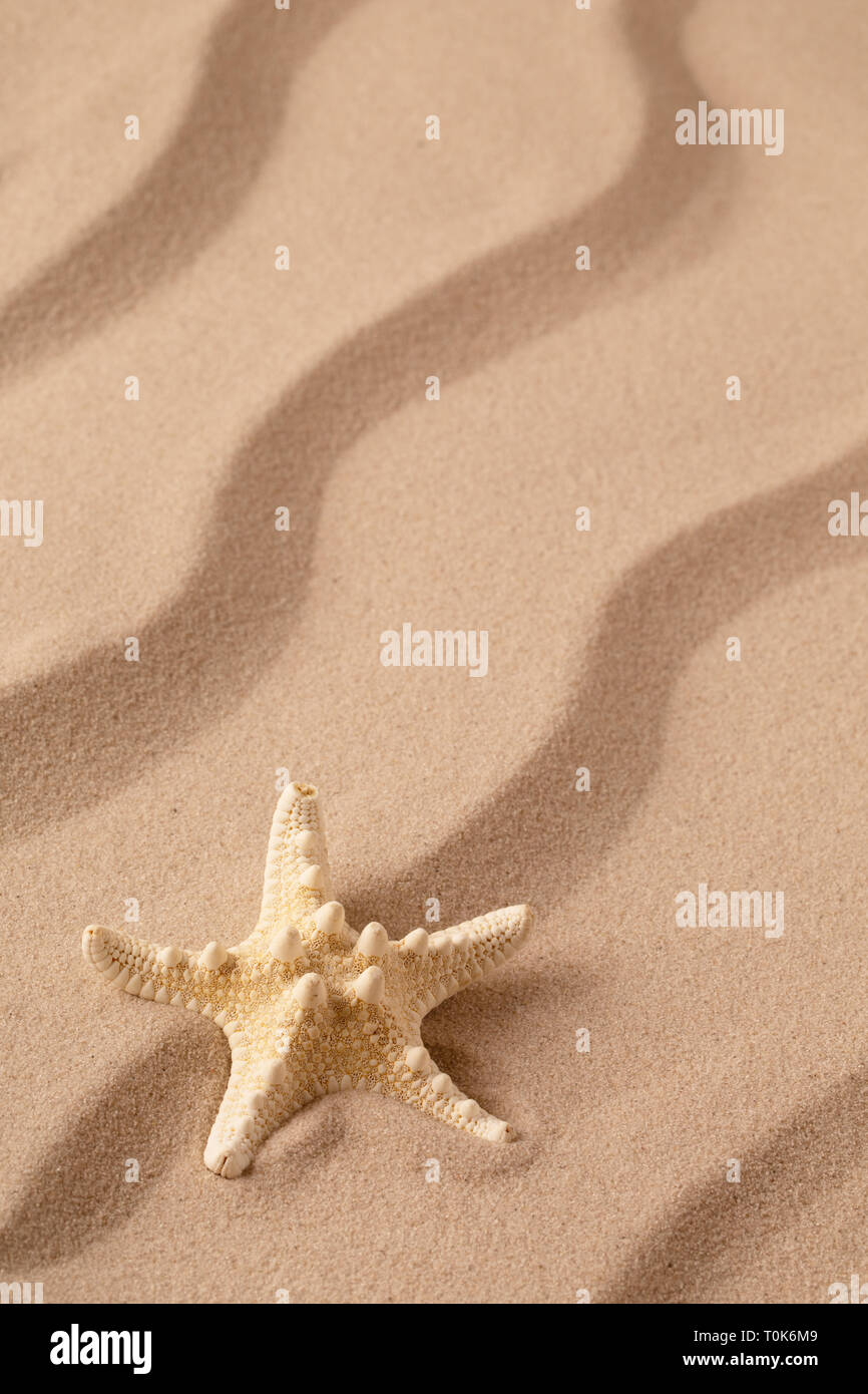 Estrella de mar Estrella de mar o en la arena de la playa tropical. Fondo de arena con líneas onduladas y abrir espacio de copia. Foto de stock
