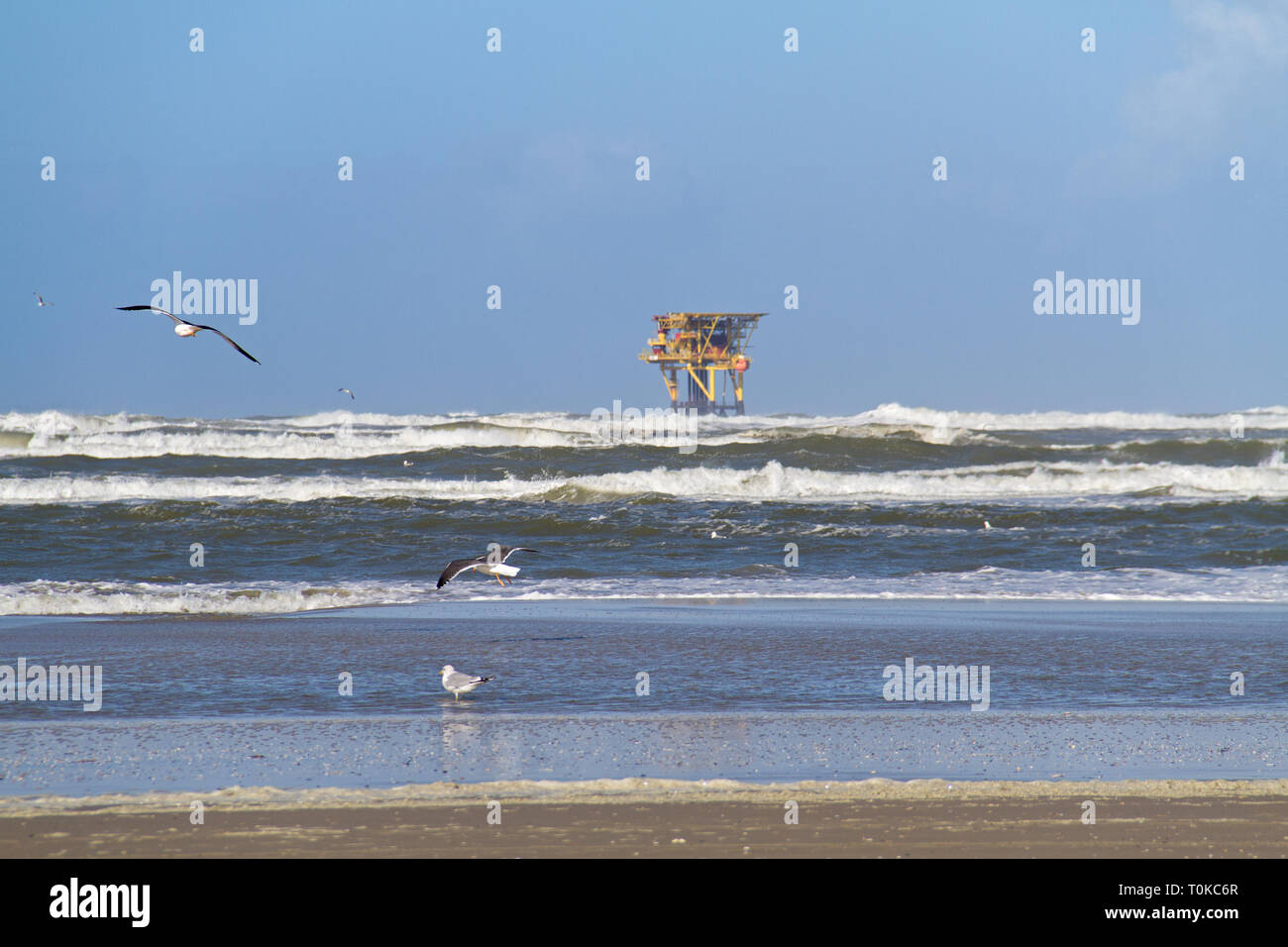 Plataforma de producción offshore, cerca de la isla holandesa de Ameland, playa, olas y gaviotas en primer plano Foto de stock