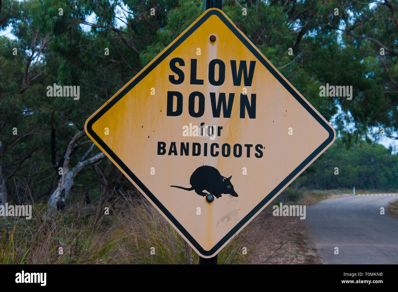 Señal de advertencia de tráfico cerca del Jardín de Australia, Cranbourne, Victoria, Australia Foto de stock