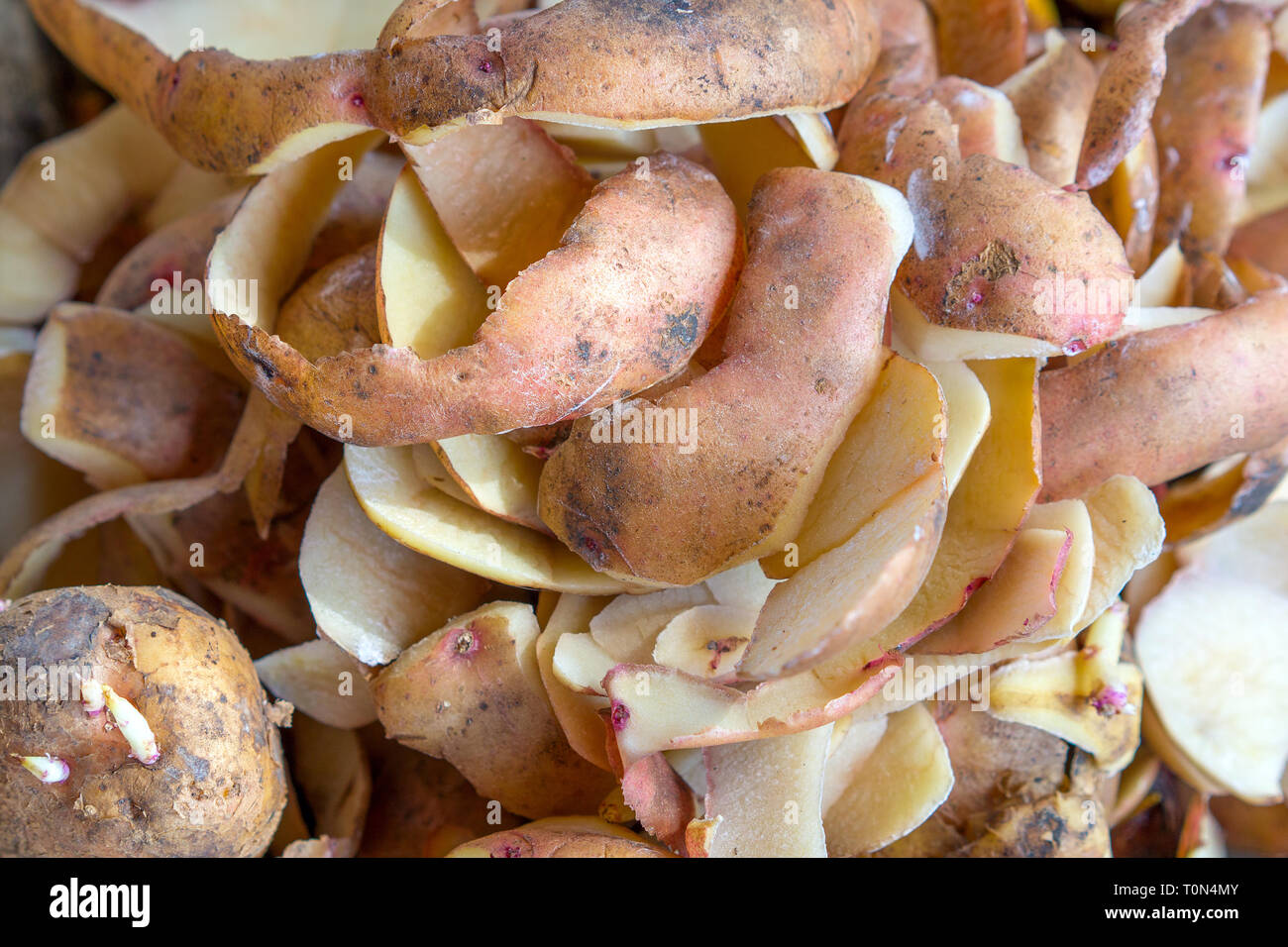 Las cáscaras de papas de compostaje de fondo Fotografía de stock - Alamy
