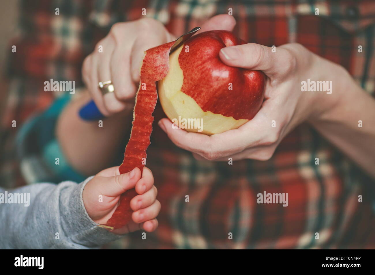 Jugosas manzanas rojas en sus manos Foto de stock