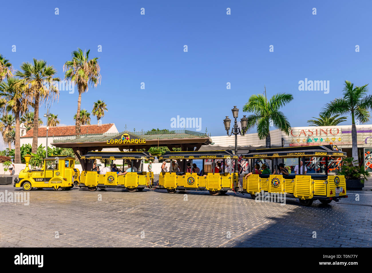 Loro Parque tren recogiendo clientes, Puerto De La Cruz, Santa Cruz de  Tenerife Fotografía de stock - Alamy