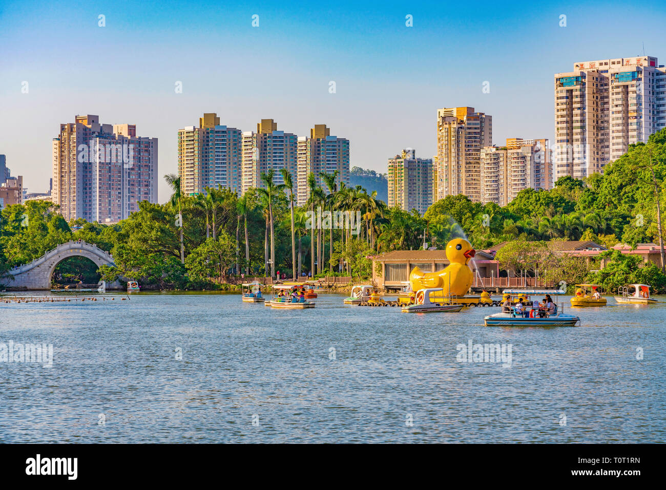 SHENZHEN, China - Octubre 28: paisaje del lago Lihu Lizhi Park, un parque famoso y popular destino turístico el 28 de octubre de 2018, en Shenzhen Foto de stock