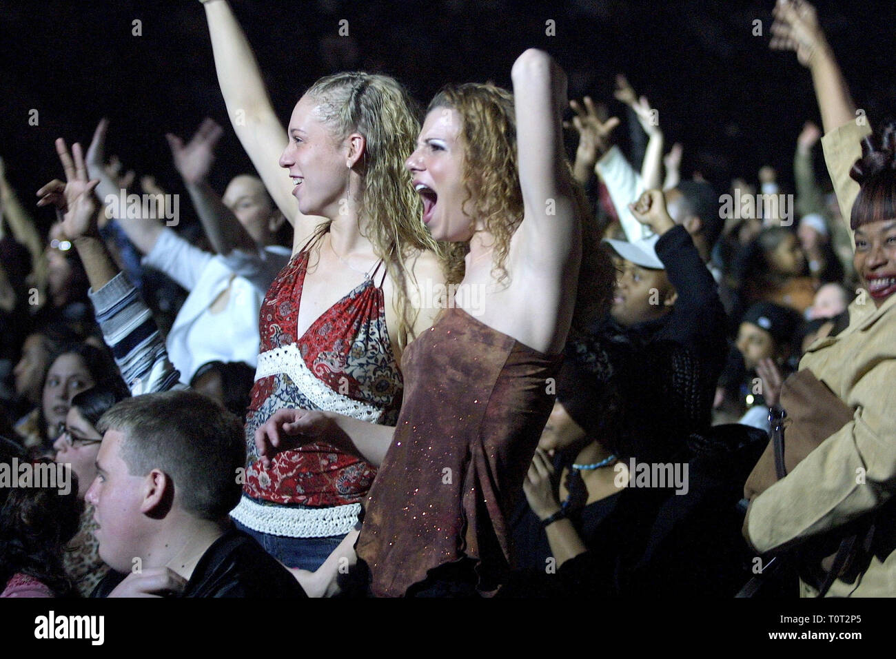 Concierto Fans se muestran aclamando a su banda durante un concierto en "vivo". Foto de stock
