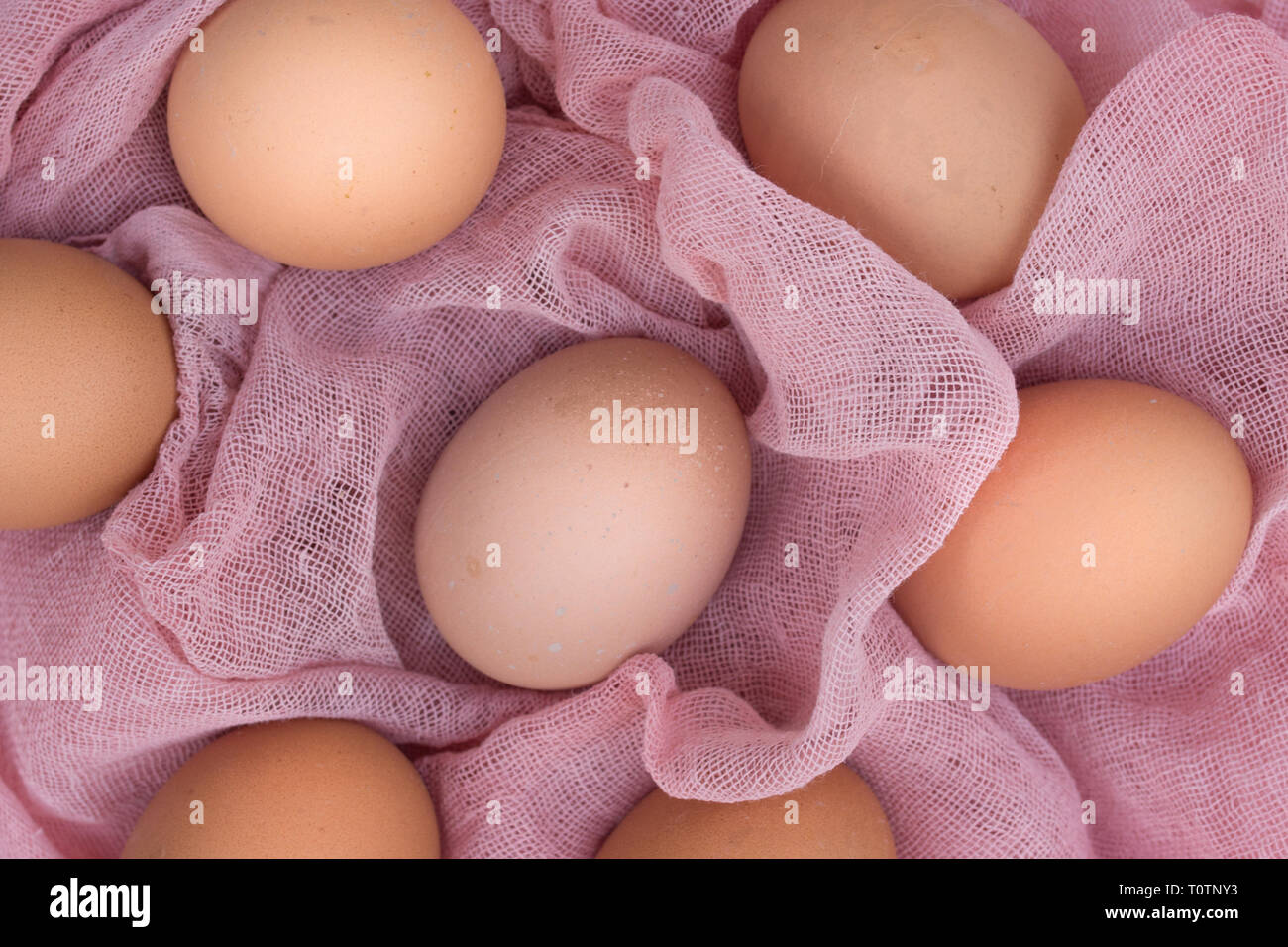 Los huevos de pascua en tela de color rosa. Foto de stock