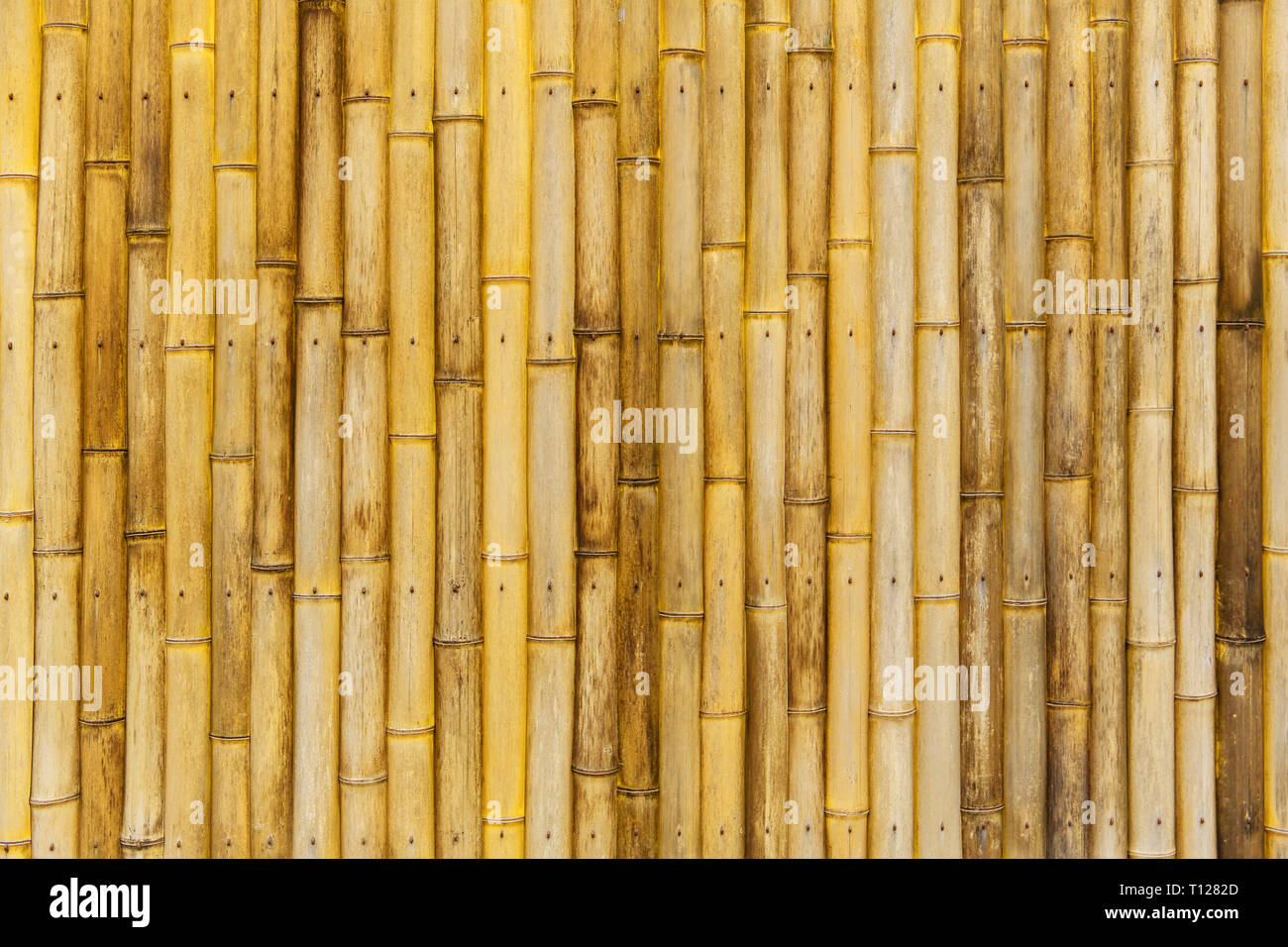 Artesanía De Bambú Tejido Textura Mimbre Natural De Fondo Fotos, retratos,  imágenes y fotografía de archivo libres de derecho. Image 36503746